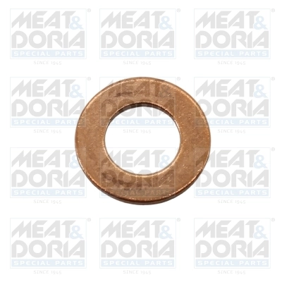 Seal Ring, injector